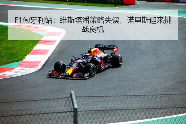 F1匈牙利站：维斯塔潘策略失误，诺里斯迎来挑战良机